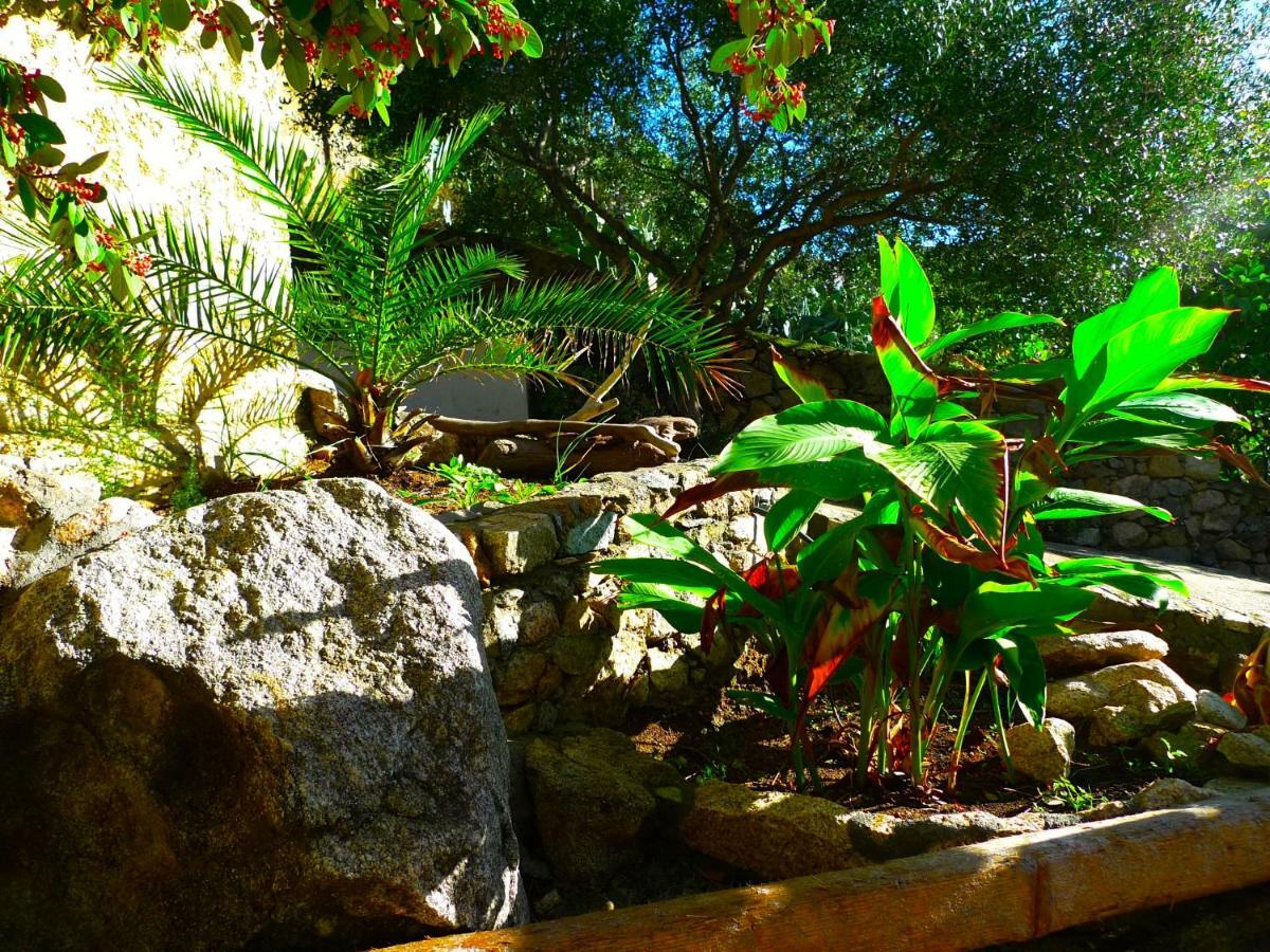A Chiosella Bed & Breakfast Corbara Exterior photo